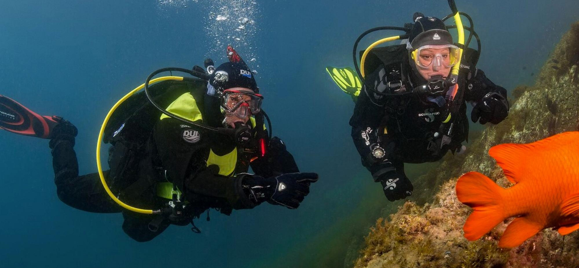 Plongée Équipement Boutique 1 Plongée Équipement Boutique -Plongée Équipement Boutique 1
